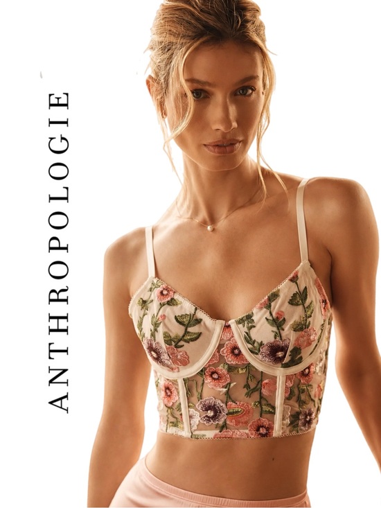 Anthropologie Tops - Anthropologie Embroidered Mesh Corset Top
